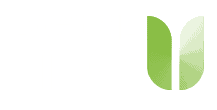 Digital Life Plus